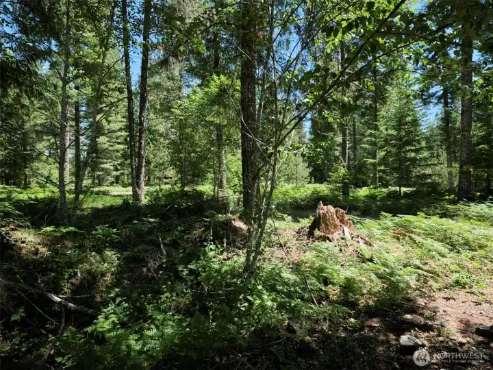 Acreage