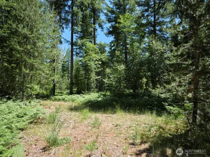 Acreage