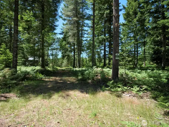 Acreage