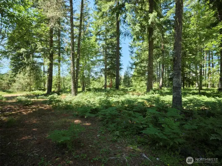 Acreage