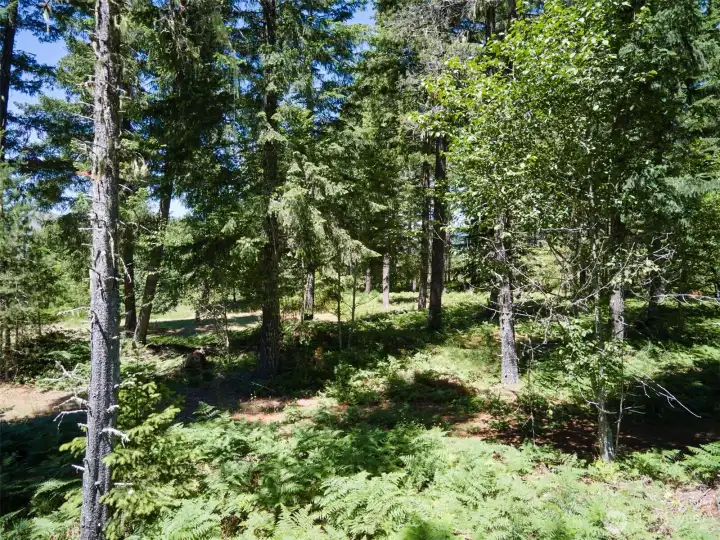 Acreage