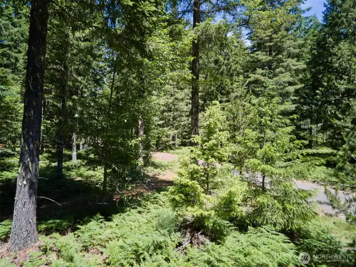 Acreage