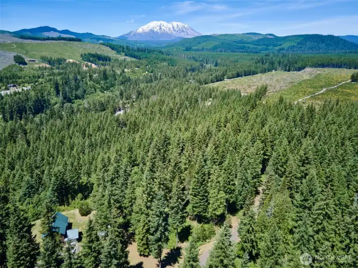 Aerial View of Mt. St. Helens