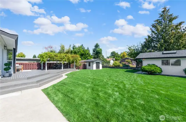 Huge yard with ADU, Shed and deck. All new landscaping.