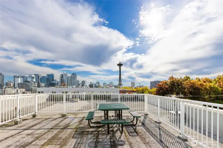 Rooftop deck with sweeping views of the city. Perfect for 4th of July and New Years fireworks!