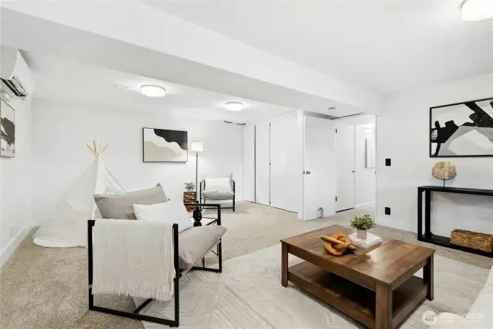 Another look at rec room (not shown is laundry and extra storage