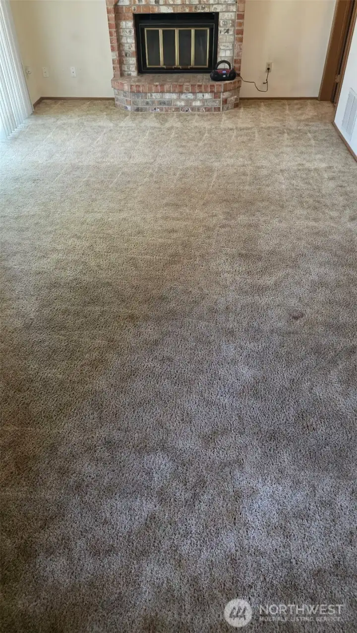 Family Room after Carpet Cleaning Family Room after Carpet Cleaning