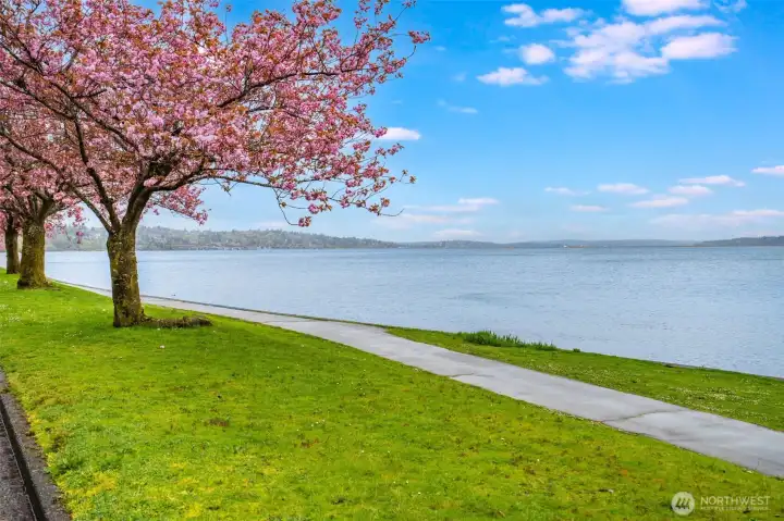 Just steps to Lake WA.