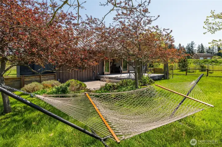 Fenced back garden with perennial drought-hardy plantings