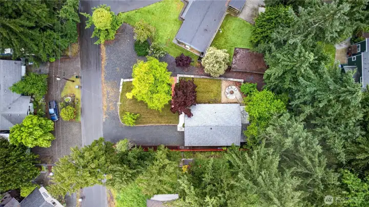 Drone view