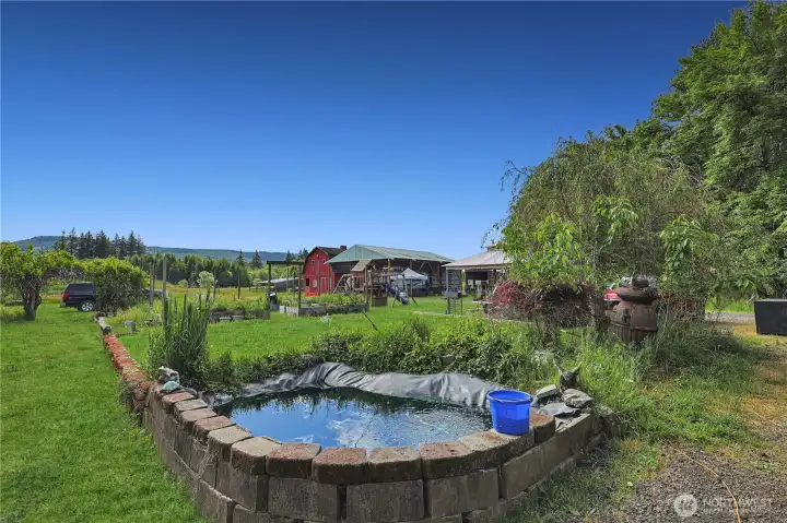 garden space with pond