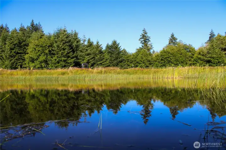 Gorgeous pond on site!
