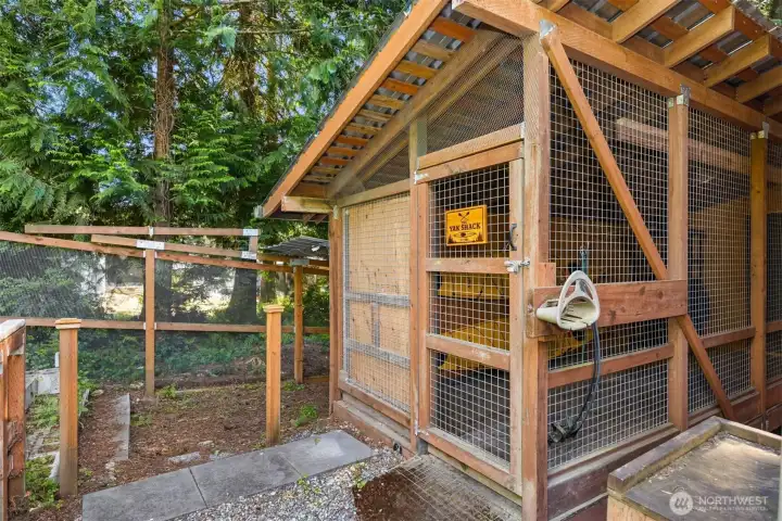 Chicken coop or storage space