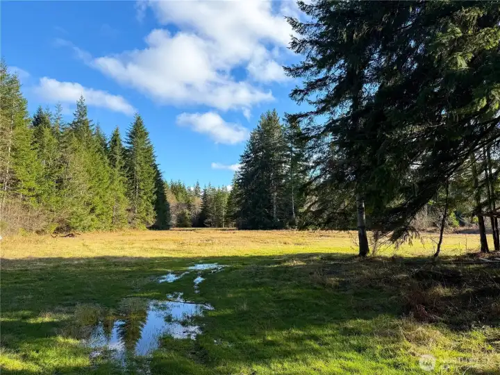 Looking out at the field