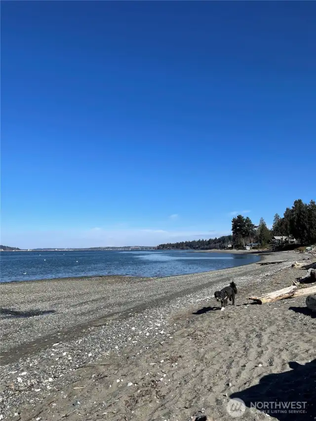 Community beach