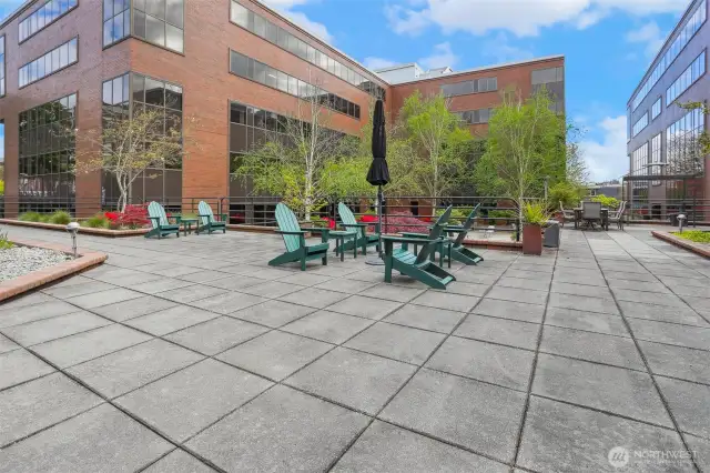 Expansive Courtyard Deck Area Supplied with Furniture & BBQ Grills