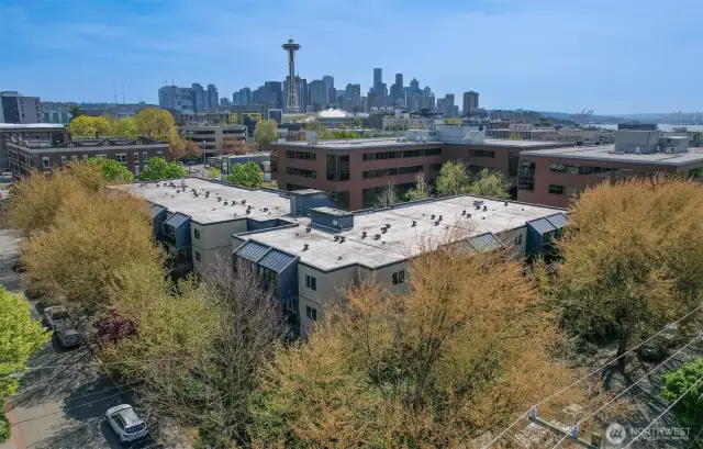 This Community is So Close to Everything Fabulous Seattle Has to Offer!