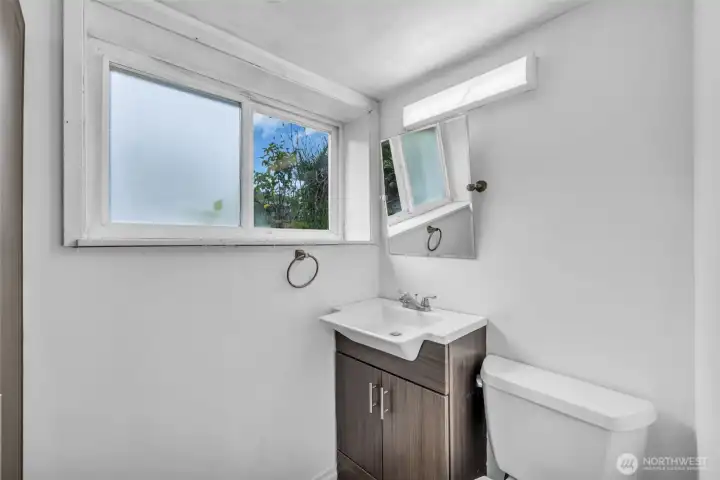 Lower level Bathroom with new vanity