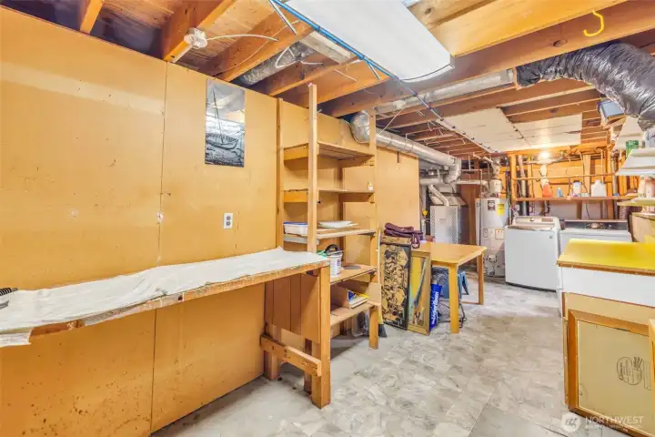 Storage and shelving in Utility Room