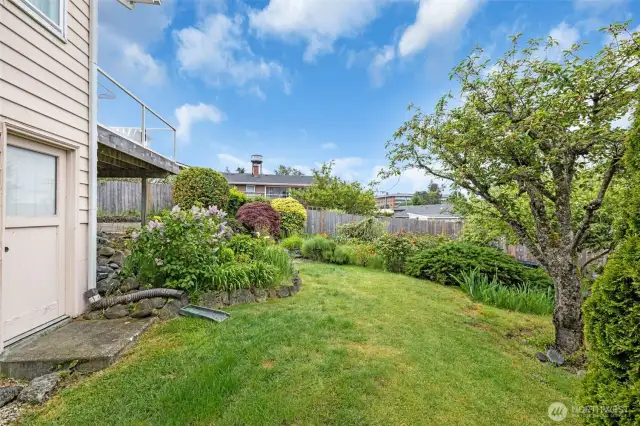 Side grassy area with mature landscaping
