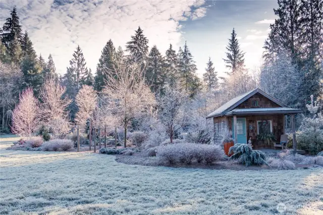Winter mist on "the cabin".