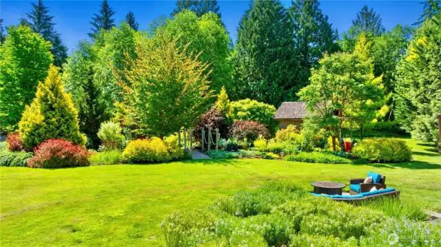 From vegetable garden/patio looking toward studio.