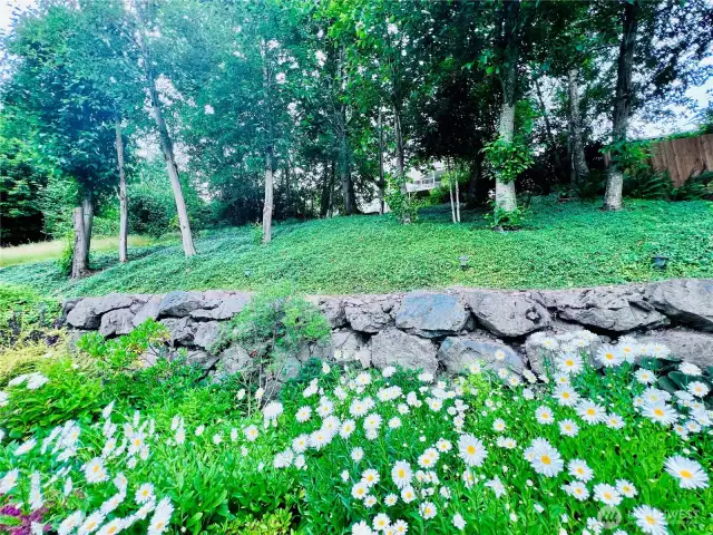 Uphill view of backyard with retainer walls