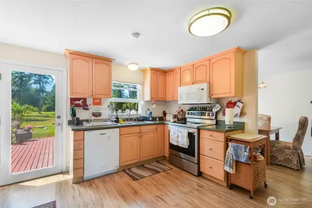 Sunny Kitchen w/new vinyl plank flooring