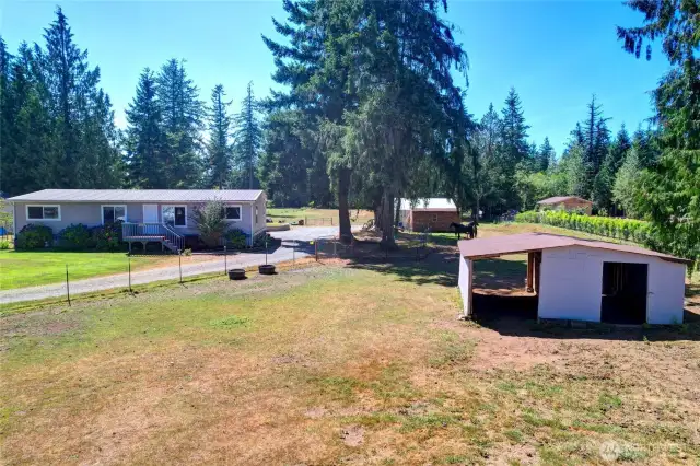Pasture in front of home