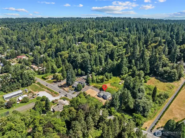 Great location and close to everything