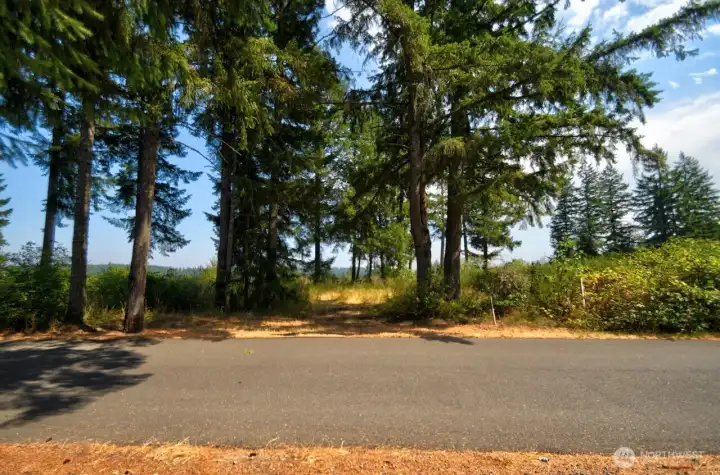 VIEW OF BACK 56 ACRES OF LOST LAKE