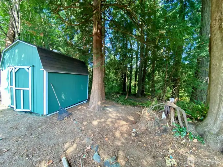 Private back yard