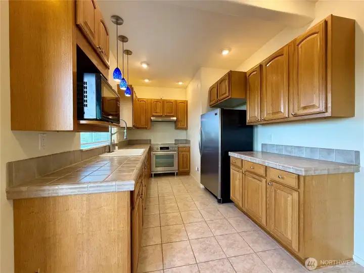 Frigidaire professional 17 cu ft refrigerator.