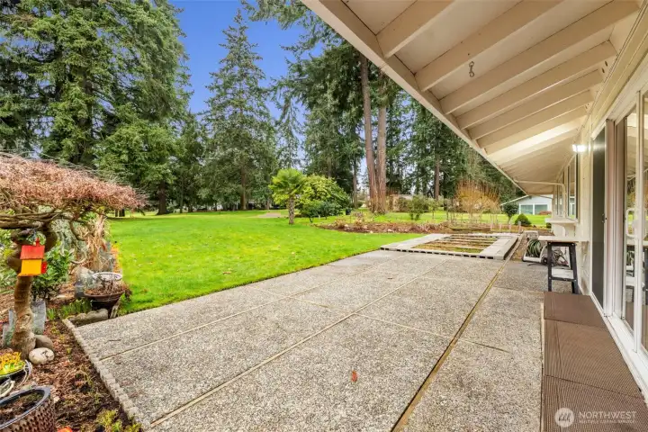 Backyard view from side walkway on side