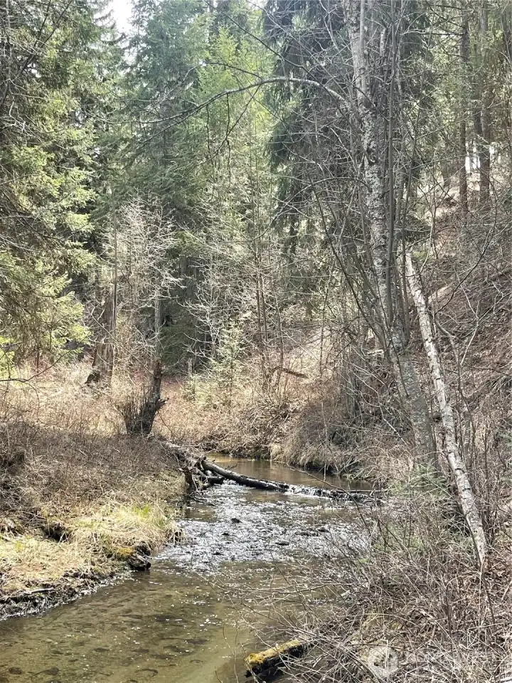 Antoine Creek