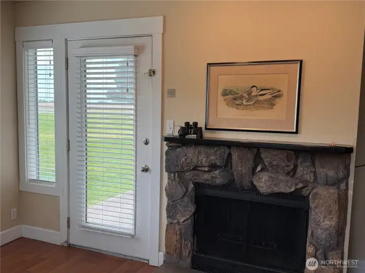 Fireplace and patio door