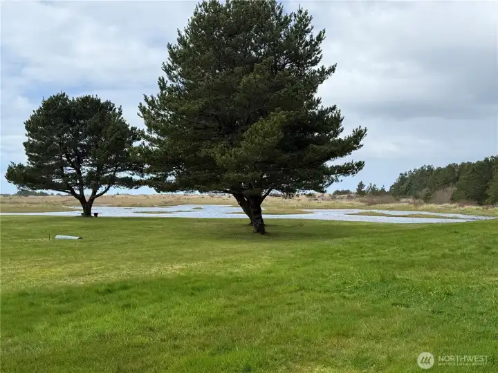 View to the west from patio