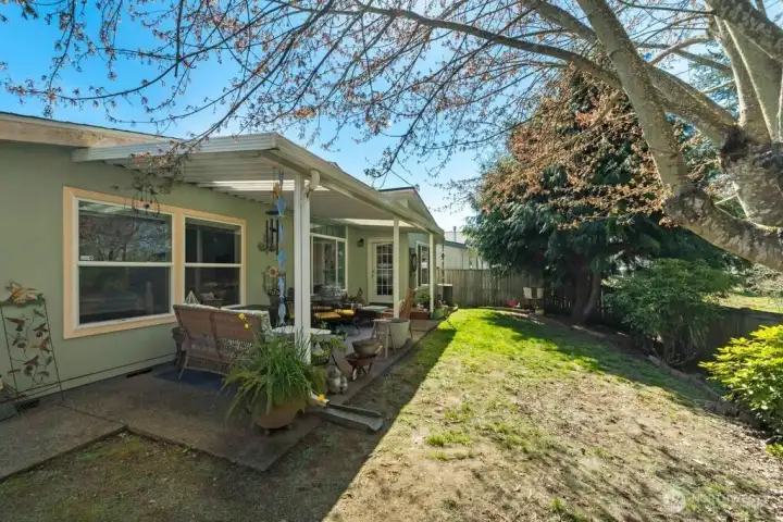 Backyard that backs up to an Oak Preserve Greenbelt