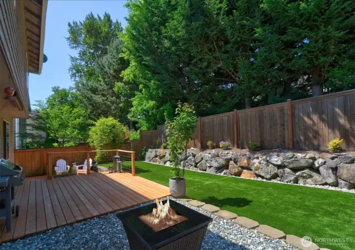 Backyard View 2