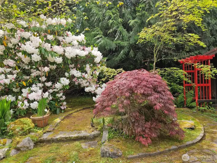 One of the Secret gardens! One of the Secret gardens!