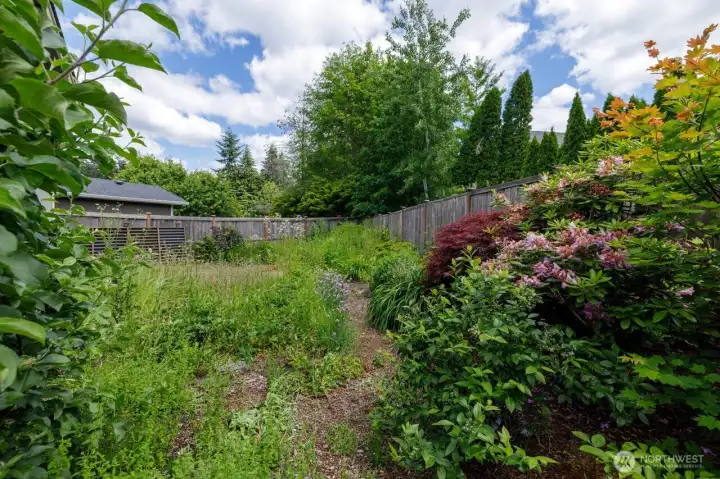 A practiced eye of a gardener will see the amazing plants that anchor the space, awaiting your touch.