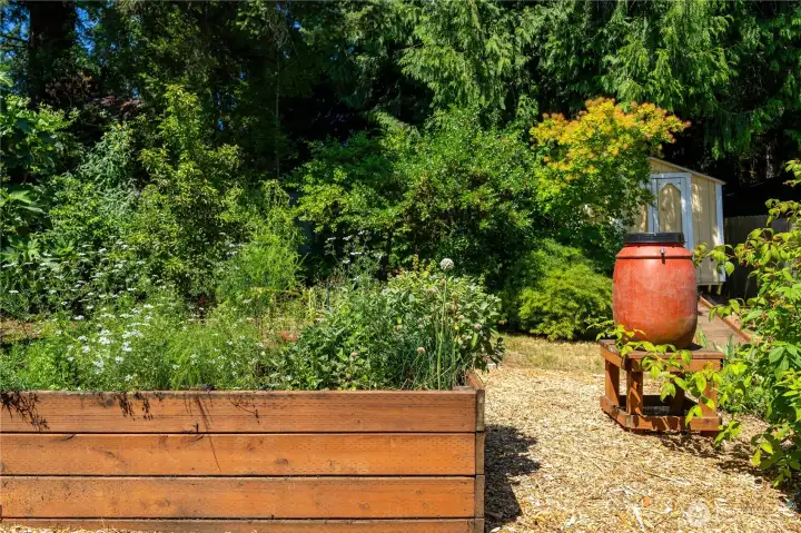 Garden space with raised beds