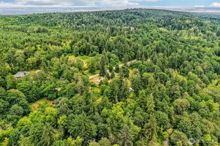 5 ACRES OF DEEDED LAND