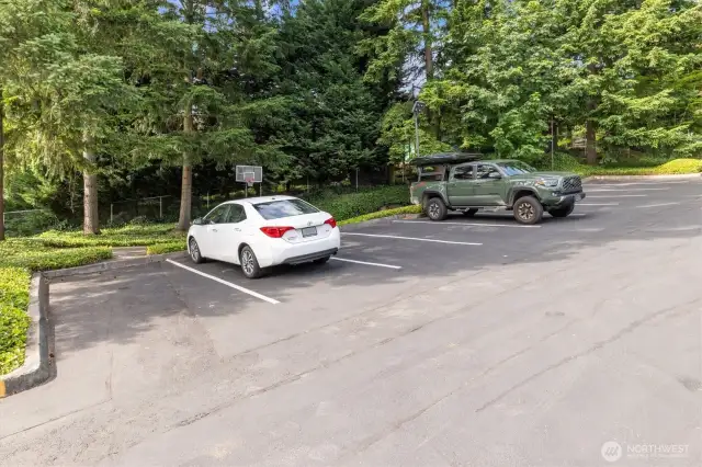 Lots of guest parking