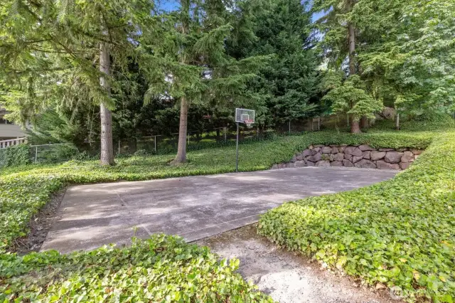 Sport court