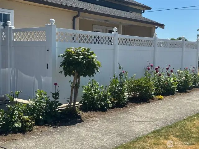 Gorgeous Dahlias line the property and welcome you home!