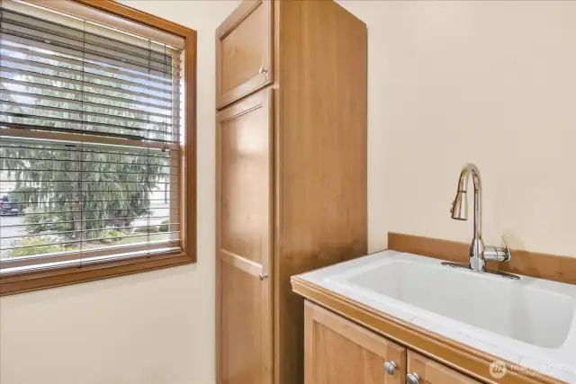 Spacious Laundry Room with wash basis