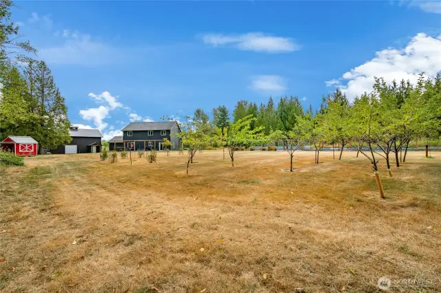 View of orchard looking back at rear of home.