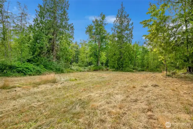 Several open meadows throughout the property.