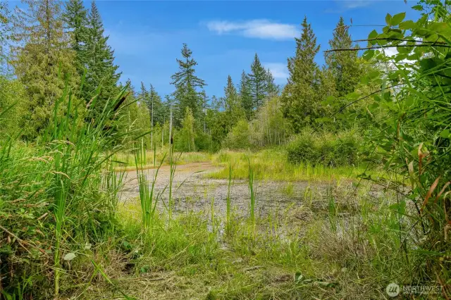 Pond on the property close to the barn.